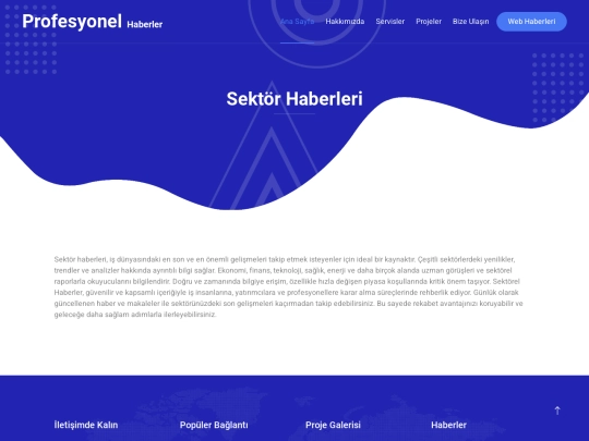 sektor-haberleri screenshot