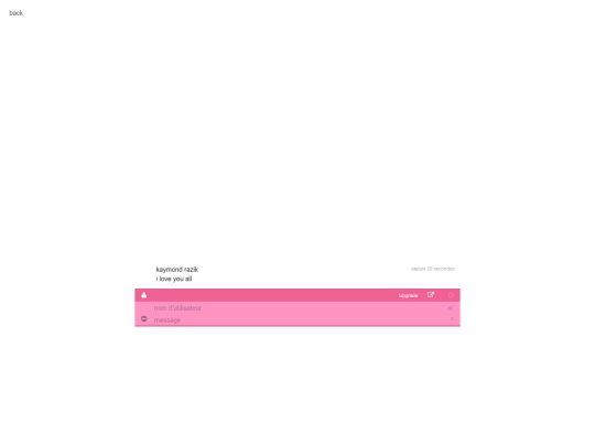 chat screenshot