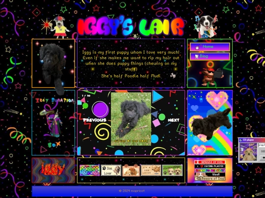 iggy screenshot