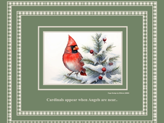 Cardnal screenshot
