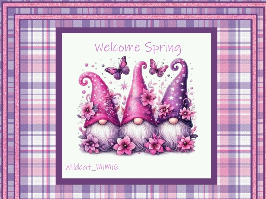 Spring screenshot