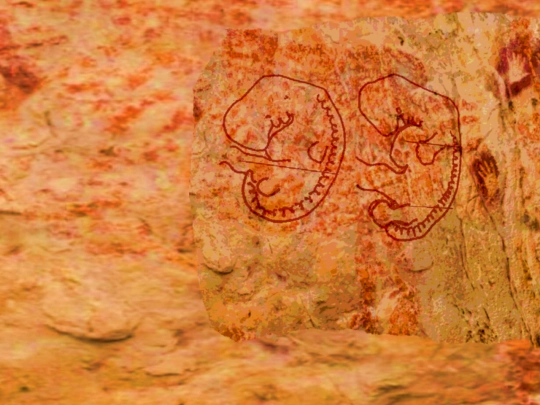 furtherreading/omen screenshot