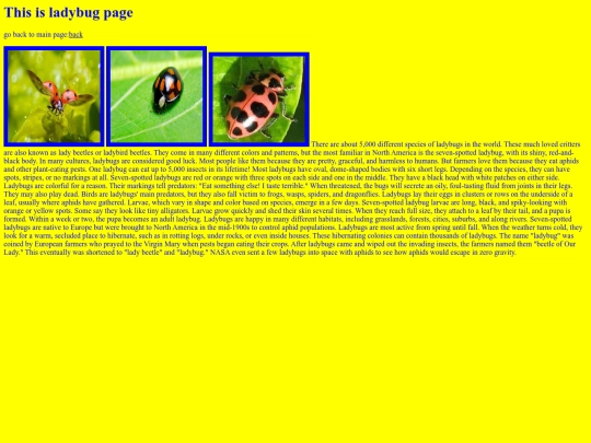 Ladybug screenshot