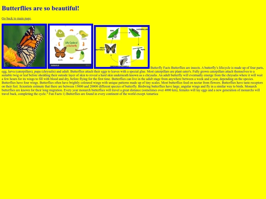 butterfly screenshot