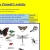 INSECTS avatar