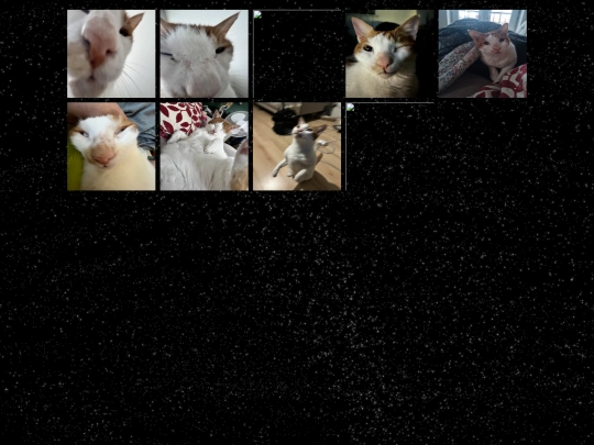 WALLOFGIM screenshot