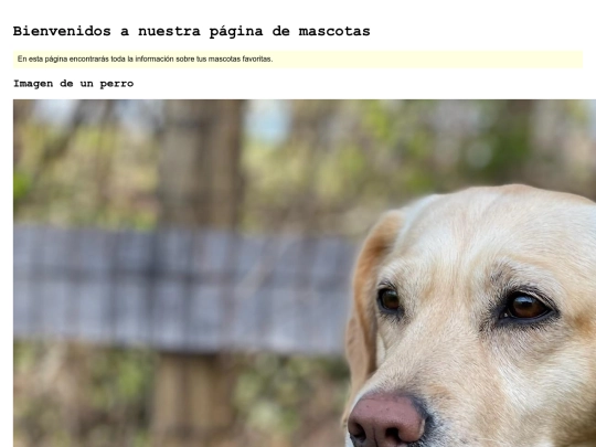 Tareafinal screenshot