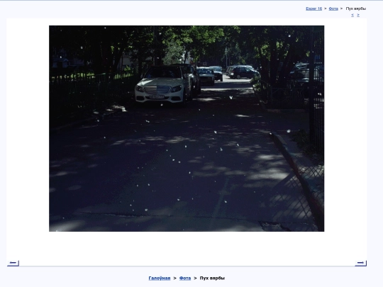 bel/fota/chorea18 screenshot