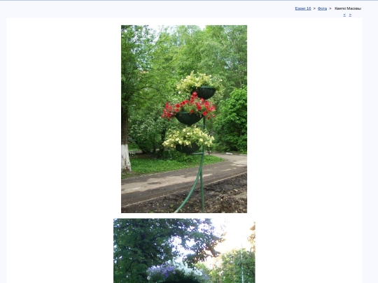 bel/fota/kmflora screenshot