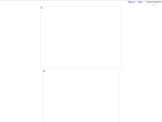 bel/fota/nlct1605 screenshot