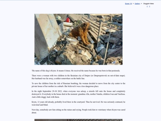 eng/gallery/dogs screenshot