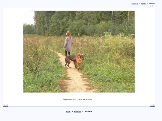 eng/photo/artemis screenshot