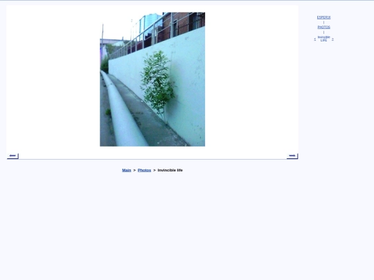 eng/photo/kmlife screenshot