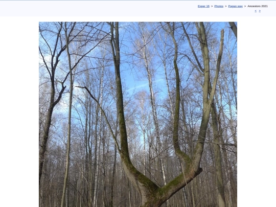 eng/photo/pagan21/avi21b screenshot