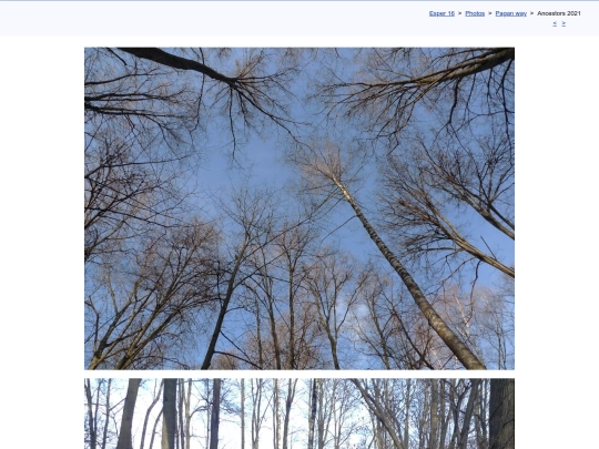 eng/photo/pagan21/avi21c screenshot