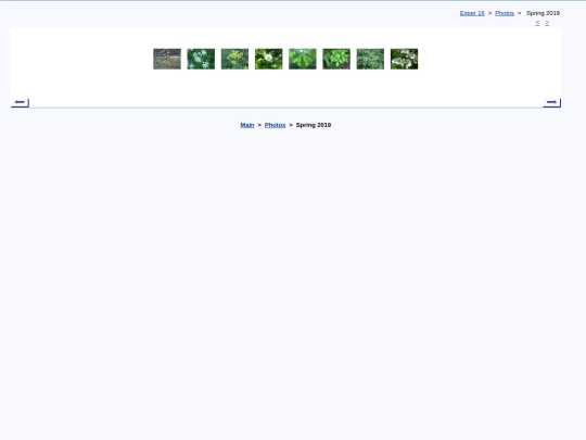 eng/photo/spring19 screenshot