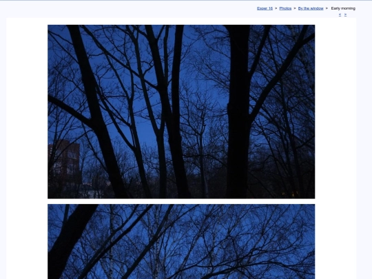 eng/photo/windy/t190325a screenshot