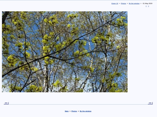 eng/photo/windy/t200501b screenshot