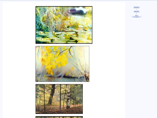 epo/bildo/pays screenshot