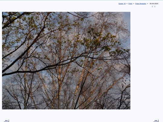 epo/foto/fenestro/t200430a screenshot