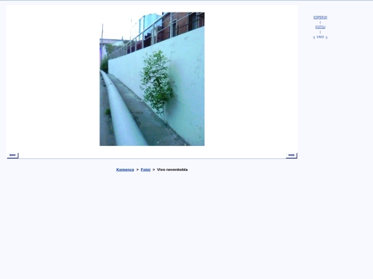 epo/foto/kmviv screenshot