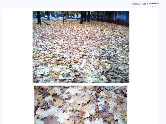 epo/foto/t171016a screenshot