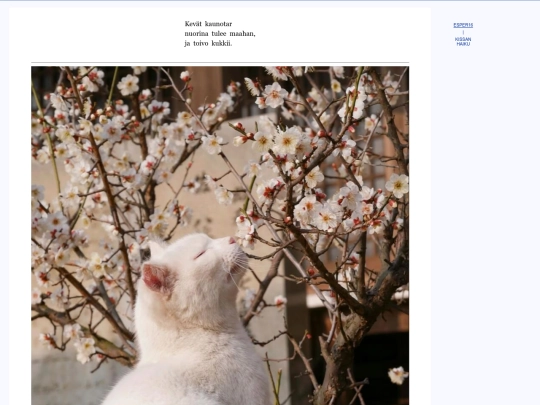 fin/neko screenshot