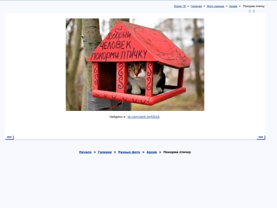 rus/graphice/photo/avfelis screenshot