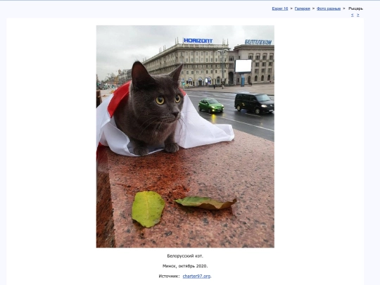 rus/graphice/photo/verum screenshot