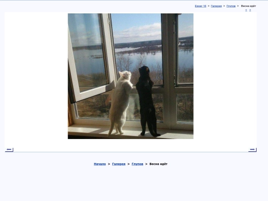 rus/graphice/photo/vervenit screenshot