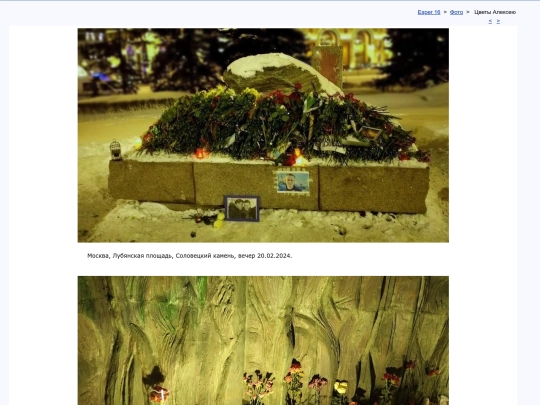 rus/photo/alexflor screenshot