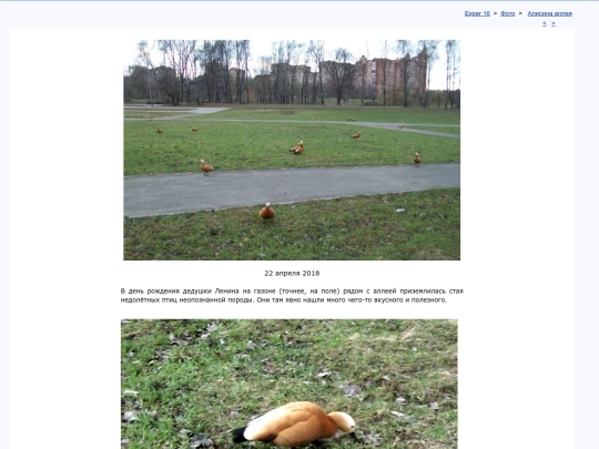 rus/photo/alisovka/t180422k screenshot