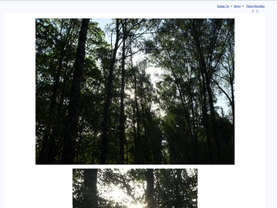 rus/photo/alisovka/t190511e screenshot
