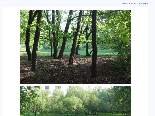 rus/photo/alisovka/t190511f screenshot