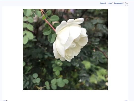rus/photo/aurora/aura0013 screenshot