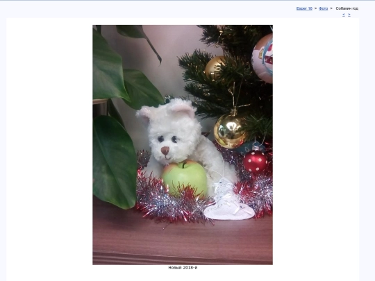 rus/photo/canis screenshot