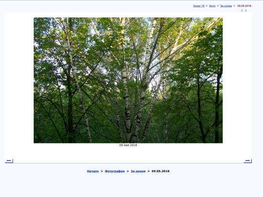 rus/photo/fenestra/t180509a screenshot