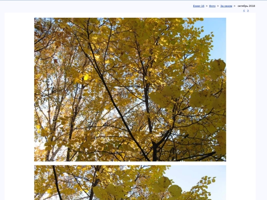 rus/photo/fenestra/t1810b screenshot