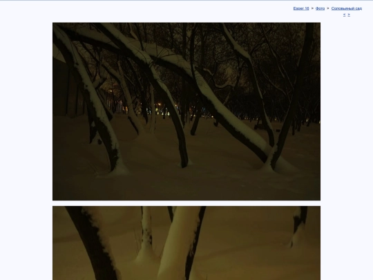 rus/photo/hortus/h231206a screenshot
