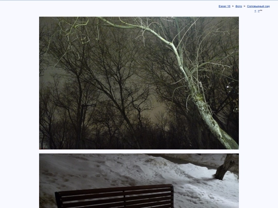 rus/photo/hortus/h240305a screenshot