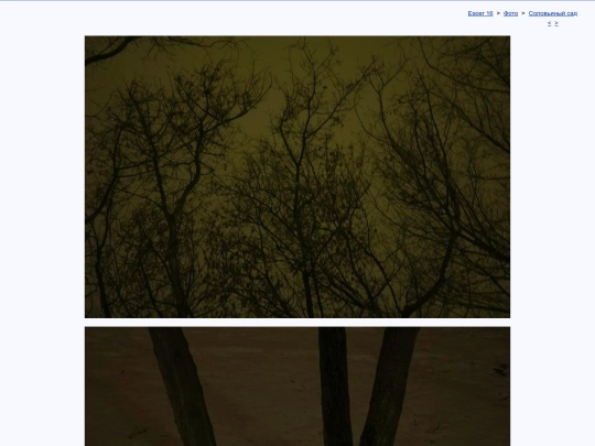 rus/photo/hortus/h240318a screenshot