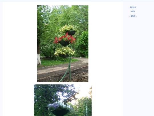 rus/photo/kmflora screenshot