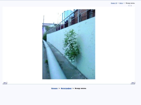 rus/photo/kmvita screenshot