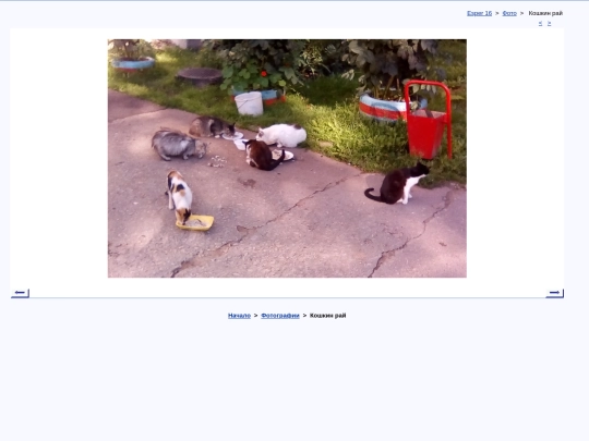 rus/photo/nl170701 screenshot