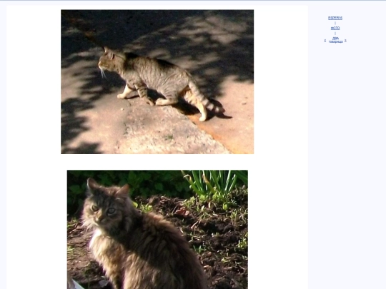 rus/photo/nlct1605 screenshot