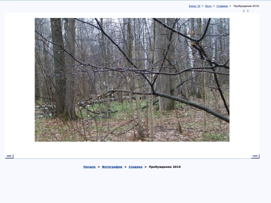 rus/photo/paganko/evig19b screenshot