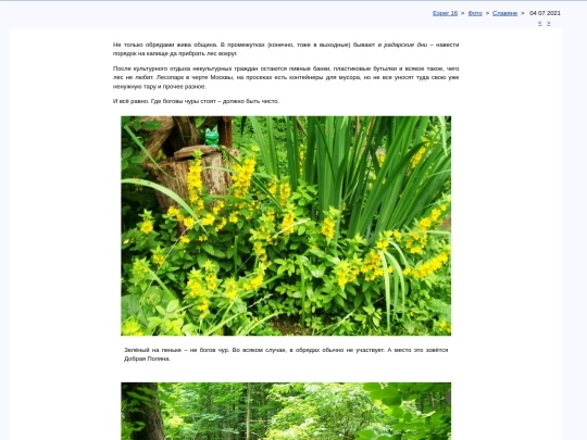 rus/photo/slava/m2107a screenshot