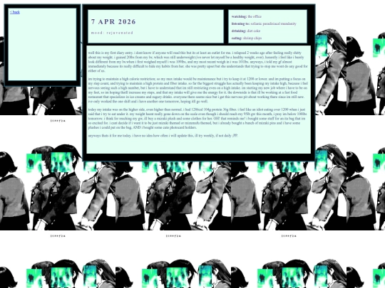 diary screenshot