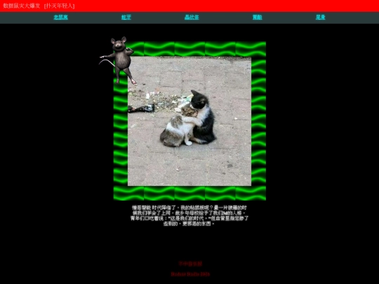 BZYYBINNER screenshot