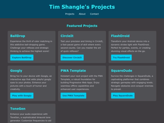 projects screenshot